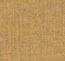 Ковровая плитка Canvas Canvas 225 фото 1 | FLOORDEALER