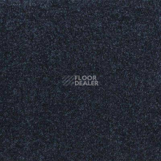 Ковролин Ideal Echo 893 фото 1 | FLOORDEALER