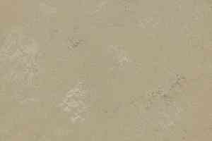 Кварцвиниловые полы Marmoleum Modular Shade 3720 фото  | FLOORDEALER