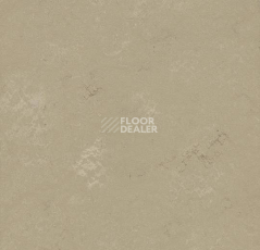 Кварцвиниловые полы Marmoleum Modular Shade 3720 фото 1 | FLOORDEALER