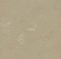 Marmoleum Modular Shade 3720 фото 1 | FLOORDEALER