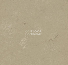 Кварцвиниловые полы Forbo Marmoleum Modular Shade 3720 фото 1 | FLOORDEALER