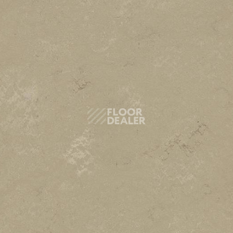 Кварцвиниловые полы Forbo Marmoleum Modular Shade 3720 фото 1 | FLOORDEALER