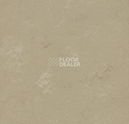 Кварцвиниловые полы Forbo Marmoleum Modular Shade 3720 фото 1 | FLOORDEALER