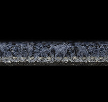 Balsan Progression 190 фото 3 | FLOORDEALER