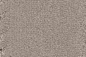 Ковролин Balsan Grand Hotel Chambord 710 фото  | FLOORDEALER