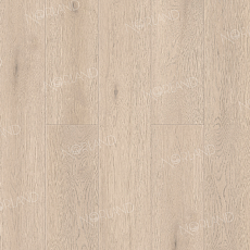 Кварцвиниловые полы Norland Sigrid 3.5мм 1001-05  ALANTE фото 1 | FLOORDEALER