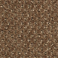 Ковролин Balsan Aquarelle Touch 750 фото 1 | FLOORDEALER