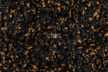 Forbo Coral Luxe 2916 Garnet фото 2 | FLOORDEALER