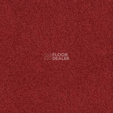 Ковровая плитка Interface Sherbet Fizz 5559 фото 1 | FLOORDEALER