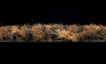 Forbo Coral Classic 4726 Auburn фото 4 | FLOORDEALER