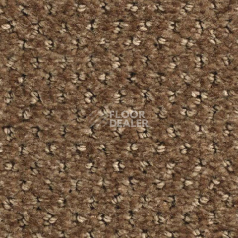 Ковролин Balsan Aquarelle Touch 750 фото 1 | FLOORDEALER