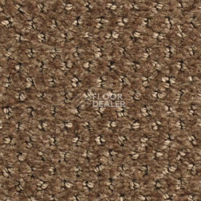 Ковролин Balsan Aquarelle Touch 750 фото 1 | FLOORDEALER