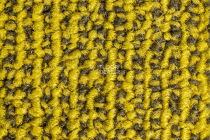 Illusion f 10 фото 2 | FLOORDEALER