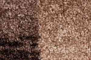 Ковролин Associated Weavers Tibet 49 фото  | FLOORDEALER