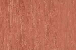 Линолеум Polyflor Xl Pu 3850 фото  | FLOORDEALER