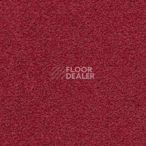 Ковролин Radici Montecarlo 6 фото 1 | FLOORDEALER