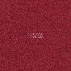 Ковролин Radici Montecarlo 6 фото 1 | FLOORDEALER