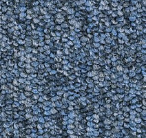 Ковролин Balsan Centaure 2000 Centaure 197 фото 1 | FLOORDEALER