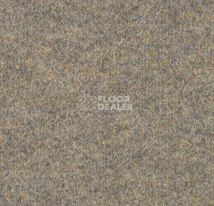 Ковролин Forbo Forte 96013 Taupe фото 1 | FLOORDEALER