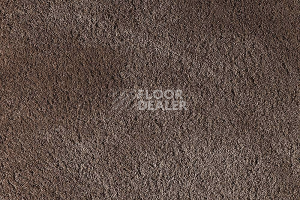 Ковролин ITC Silky Lush Silky Lush 041 фото 1 | FLOORDEALER