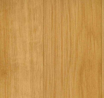 Линолеум Grabo Silver Knight Fitness 2519_371_279 фото 1 | FLOORDEALER