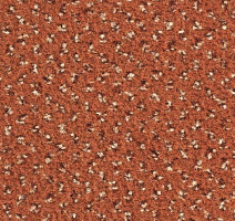 Ковролин Balsan Signature 465 фото 1 | FLOORDEALER