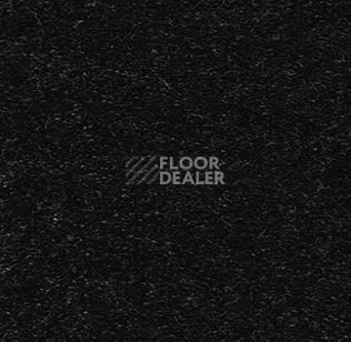 Ковролин AW Passion AW Passion  99 фото 1 | FLOORDEALER