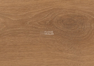 Terhurne Classic Line 192мм 1381  Дуб Коричневый  1101020827 фото 2 | FLOORDEALER