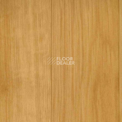 Линолеум Grabo Silver Knight Fitness 2519_371_279 фото 1 | FLOORDEALER