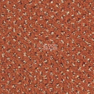 Ковролин Balsan Signature 465 фото 1 | FLOORDEALER