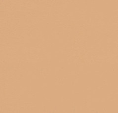 Линолеум Forbo Furniture Linoleum 4001 clay фото 1 | FLOORDEALER