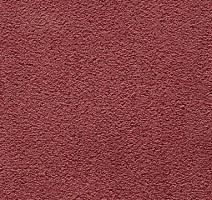 Ковролин In-Tense 60 фото 1 | FLOORDEALER