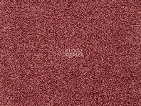 Ковролин In-Tense 60 фото 1 | FLOORDEALER