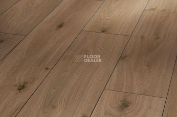 Ламинат Parador Classic 1050 4V 1475599 Дуб Старый Хистори Промасленный фото 1 | FLOORDEALER