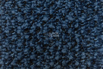 Balsan Take a Walk Rolls 190 фото 2 | FLOORDEALER