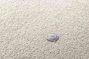 Ковролин Vorwerk Superior 1065/Viola Vorwerk 6c70 фото  | FLOORDEALER
