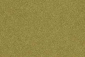 Ковровая плитка Interface Polichrome 7569 Ginger фото  | FLOORDEALER