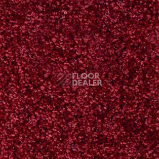 Ковролин AW Silence 10 фото 1 | FLOORDEALER