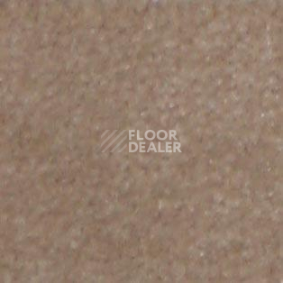 Ковролин Shaw all That Jazz 21156 фото 1 | FLOORDEALER