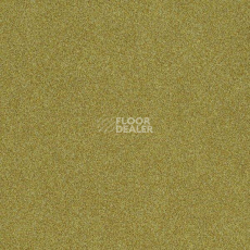 Ковровая плитка Interface Polichrome 7569 Ginger фото 1 | FLOORDEALER