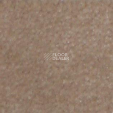 Ковролин Shaw all That Jazz 21156 фото 1 | FLOORDEALER