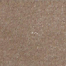 Shaw all That Jazz 21156 фото 1 | FLOORDEALER
