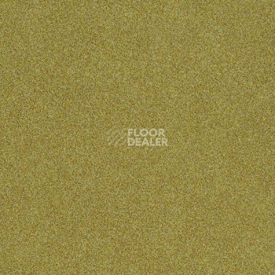 Ковровая плитка Interface Polichrome 7569 Ginger фото 1 | FLOORDEALER