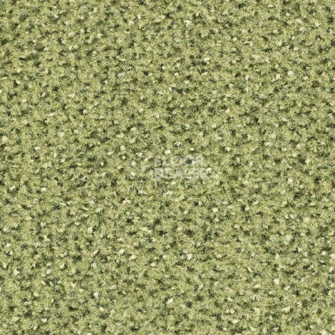 Ковролин Balsan Equinoxe 220 фото 1 | FLOORDEALER