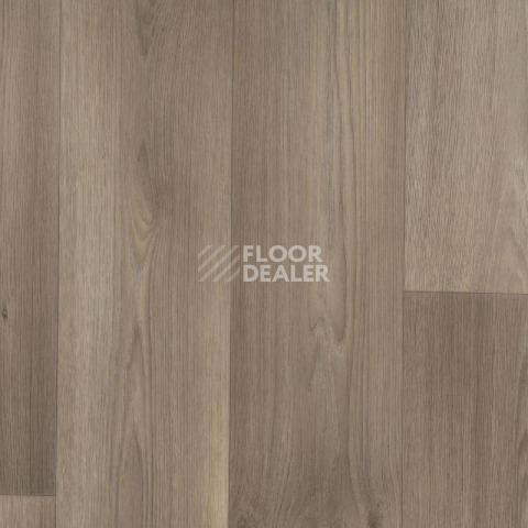 Линолеум Tarkett Galaxy Dallas 3 фото 1 | FLOORDEALER