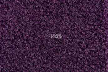 Balsan Les Best S 899 фото 2 | FLOORDEALER