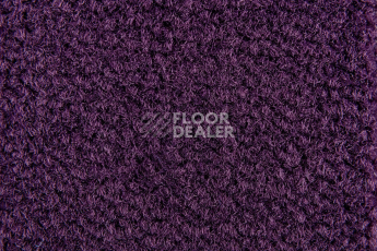 Balsan Les Best S 899 фото 2 | FLOORDEALER