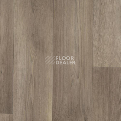 Линолеум Tarkett Galaxy Dallas 3 фото 1 | FLOORDEALER