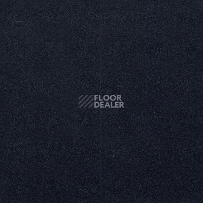 Линолеум Grabo Evidance 60 1991_275 фото 1 | FLOORDEALER